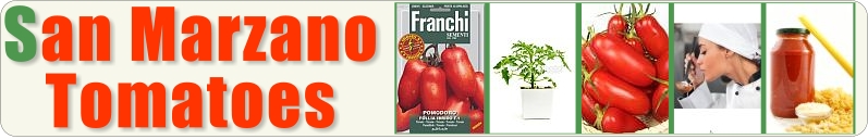 San Marzano Tomatoes Website - Growing, Varieties, History, Making Sauce & A lot more...